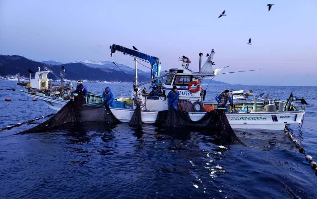 日本魚類の商品一覧 背景