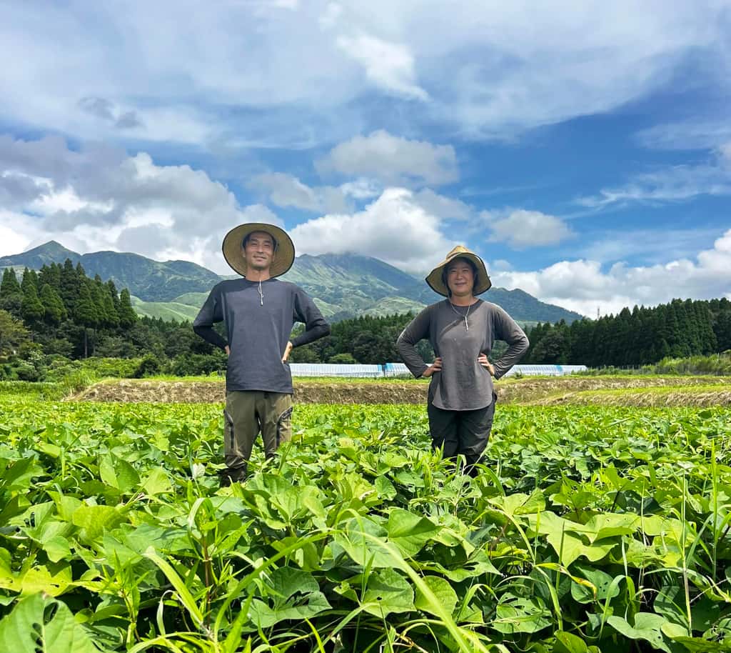 農園ベルの樹の商品一覧 背景