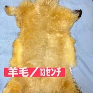 国産ムートン(津軽羊アップルラム)