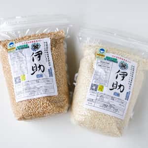 【新米予約】令和８年度産＜新潟産コシヒカリ＞真空パック（選べる精米　玄米/白米/分づき米）2015年より連続残留農薬検出ゼロ継続中