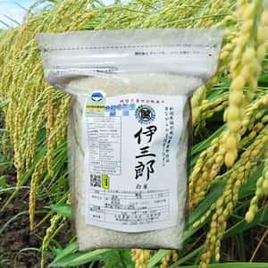 【【新米予約】令和８年新潟産ミルキークイン(2023年より残留農薬ゼロ継続中)
