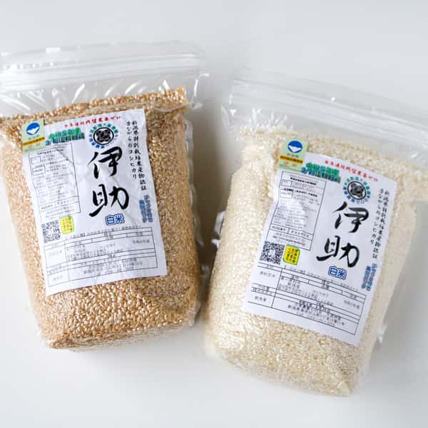 【7年産】令和7年度産＜新潟産コシヒカリ＞真空パック（選べる精米　玄米/白米/分づき米）2015年より連続残留農薬検出ゼロ継続中