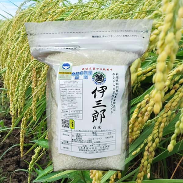 【令和７年度産】新潟産：ミルキークイン（選択精米　玄米/白米）連続留農薬検出ゼロ挑戦米