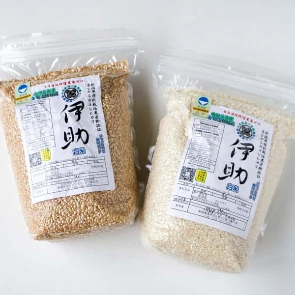 【定期発送】令和８年新潟産コシ伊助(2015年より残留農薬ゼロ継続中)