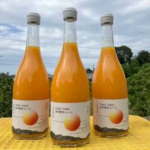 【お中元にも】愛媛県産オーガニック温州みかん100%使用ストレートジュース 720ml 3本セット