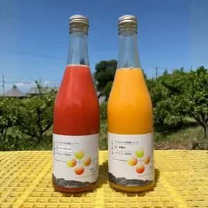 【お中元にも】愛媛県産オーガニック柑橘100%使用ストレートジュース 500ml 2本セット