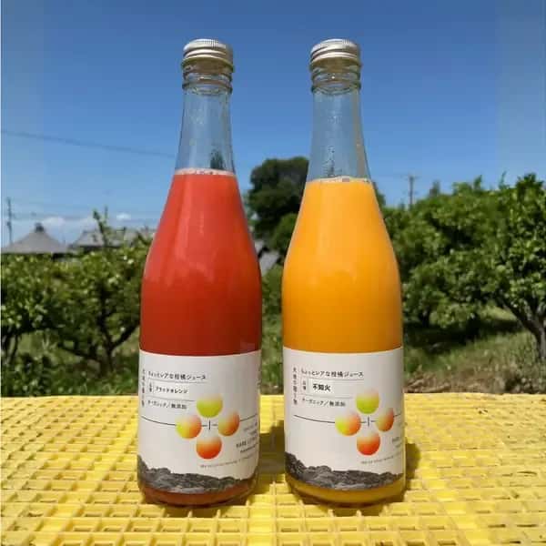 【父の日にも】愛媛県産オーガニック柑橘100%使用ストレートジュース 500ml 2本セット
