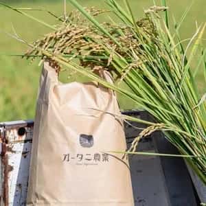 【新米】令和８年度産 岐阜県産＜いのちの壱＞農薬・化学肥料不使用