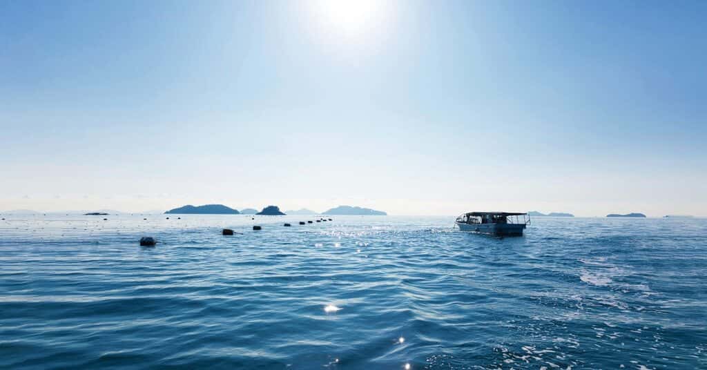 せのお水産の商品一覧 背景