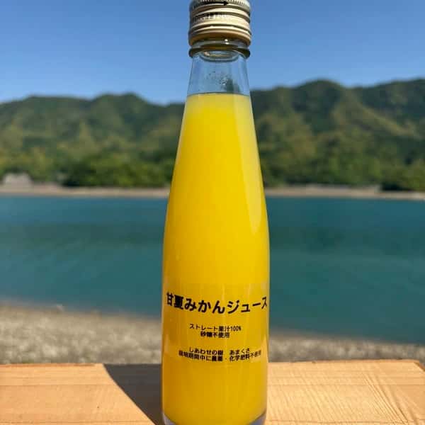 熊本県天草の海風と太陽が育てた＜甘夏みかんジュース＞農薬・化学肥料不使用の果汁100%ストレート