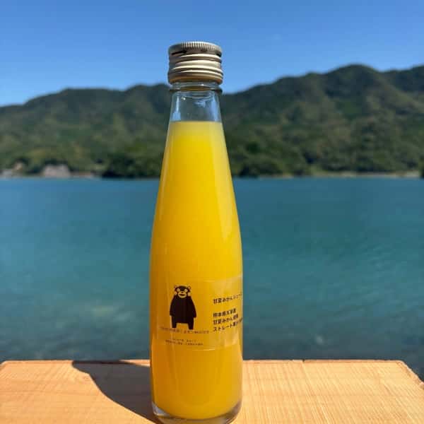 熊本県天草の海風と太陽が育てた＜甘夏みかんジュース＞農薬・化学肥料不使用の果汁100%ストレート