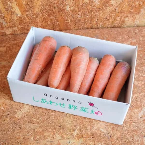 ＜旬のにんじん 4.5kg＞農薬化学肥料不使用・静岡県産 