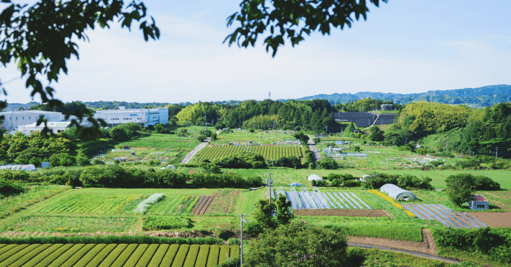オーガニック農園 しあわせ野菜畑の商品一覧 背景