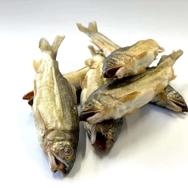PET用ヒューマングレードペットフード［鮎の燻製］Smoked Sweetfish 