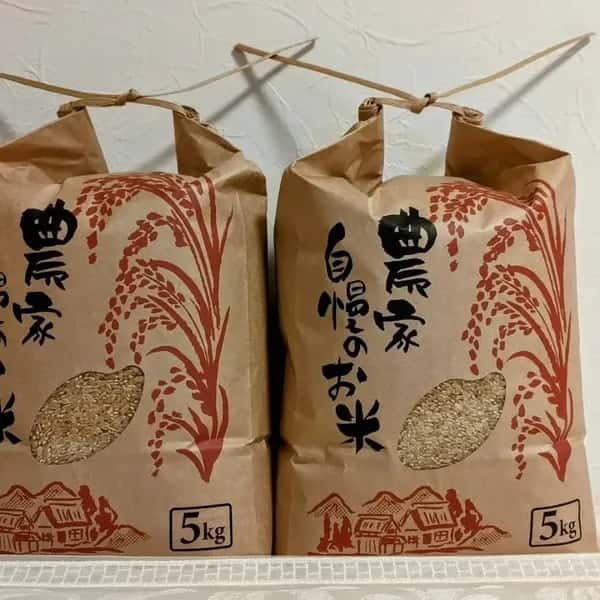 【R7年度産】白川の美米（玄米）｜熊本阿蘇 筑後川源流で育む自然栽培米｜農薬・肥料・除草剤一切不使用｜森のくまさん