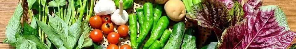 野菜ギフト 背景