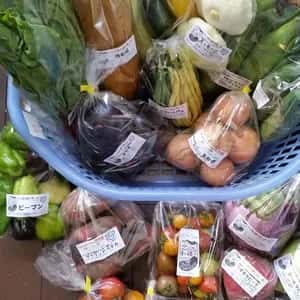 シードマイスターが作る無農薬季節の変わり野菜セット 