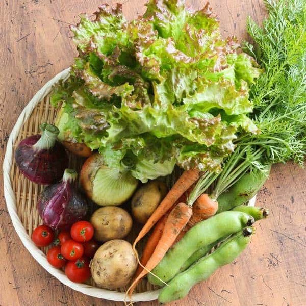 つづらんブランド無農薬野菜セット