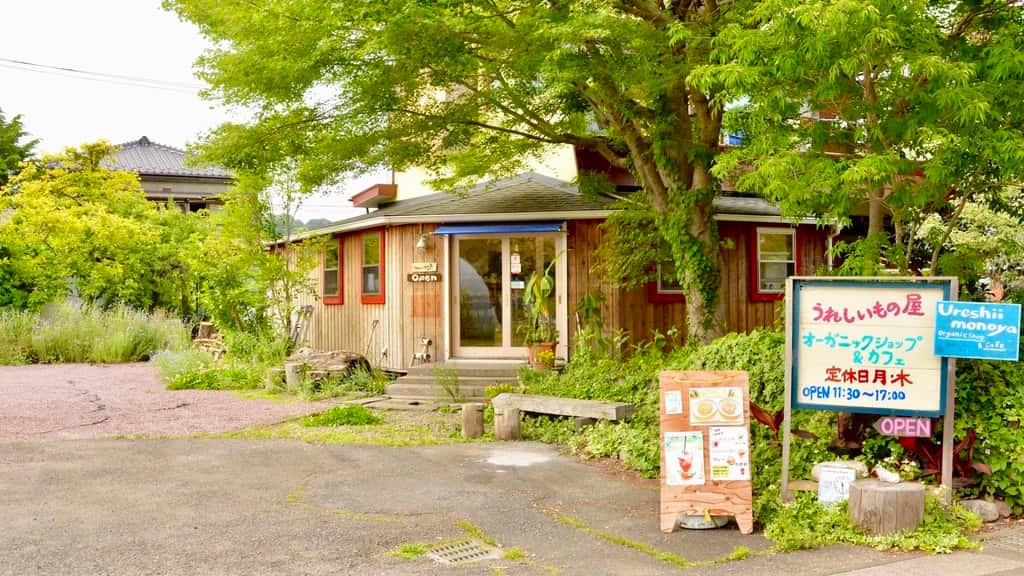 うれしいもの屋の商品一覧 背景