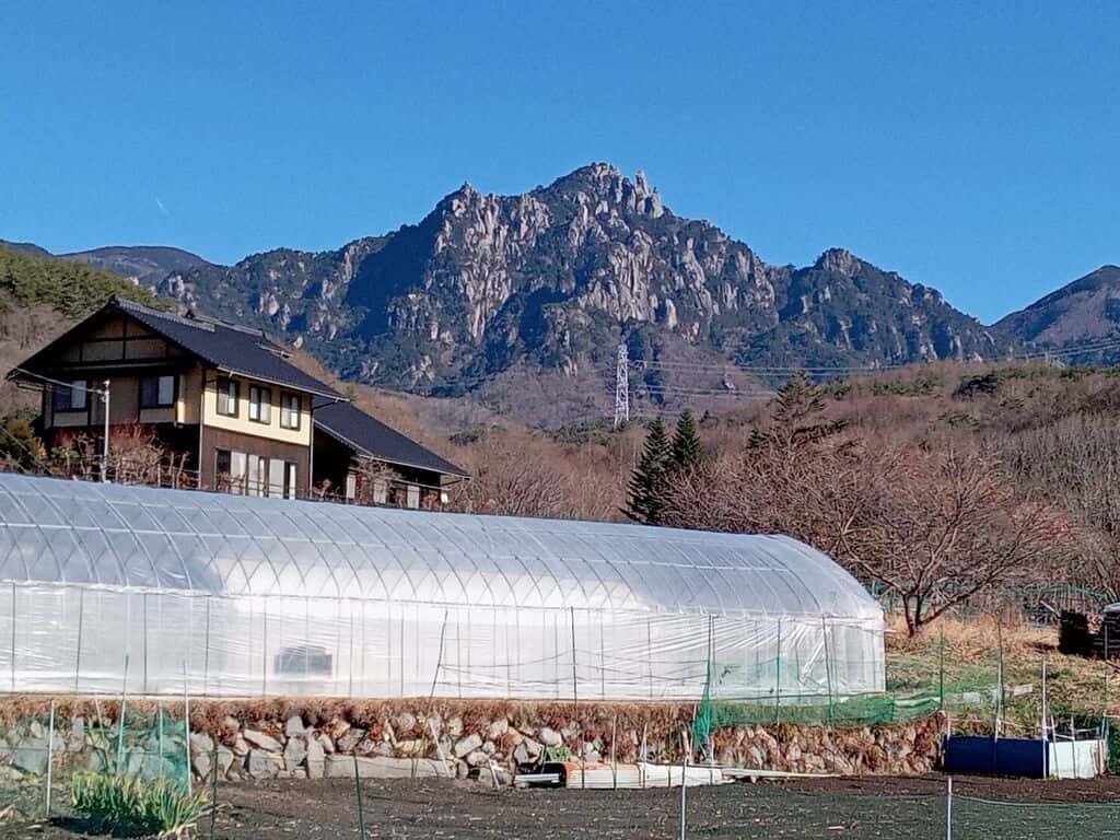 Watanabe farmの商品一覧 背景