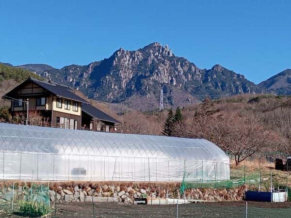 Watanabe farmロゴ