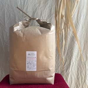 【玄米】朝日／令和7年産 ハザ掛け天日干し  （無農薬・無肥料）