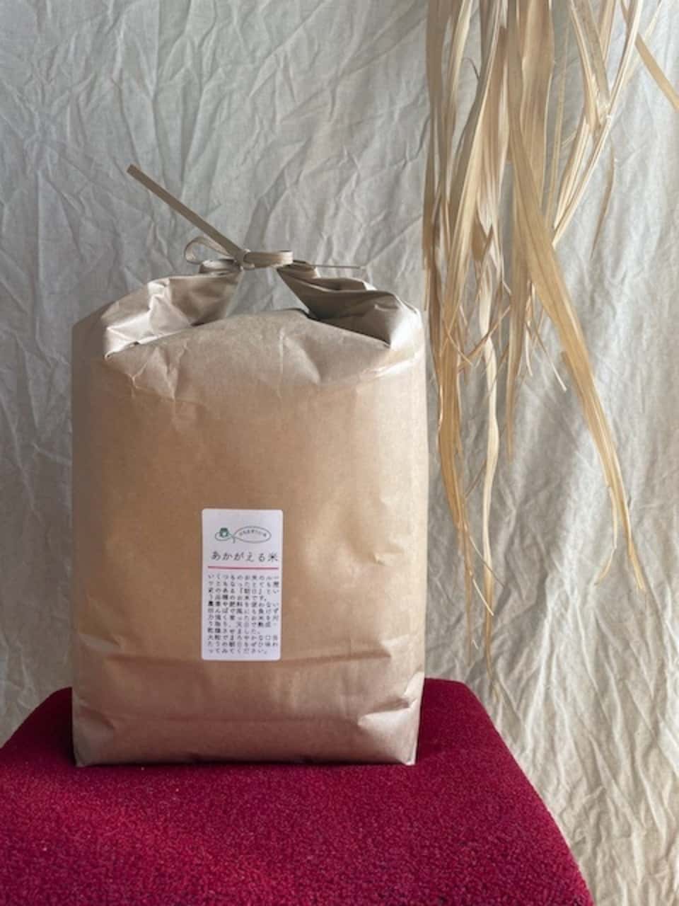 今すぐ届く無農薬のお米 背景
