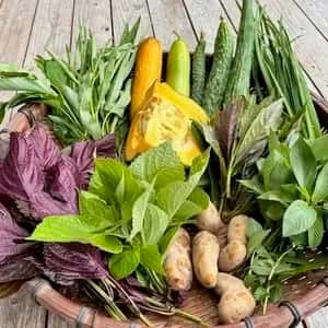 16年間　不耕起・無農薬・無肥料栽培の夏の野菜セット
