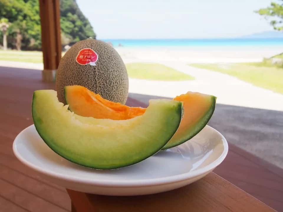 期間限定ショップ 背景