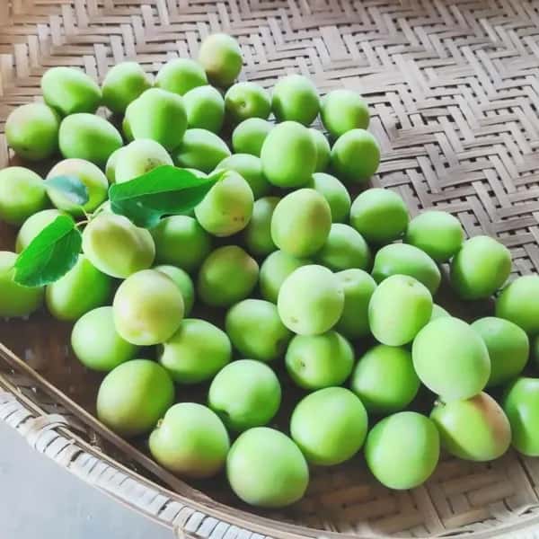 爽やかな酸味と香り　自然栽培 青梅１kg