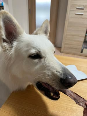 安心素材のおやつで、喜んで食べてくれました！の画像 1