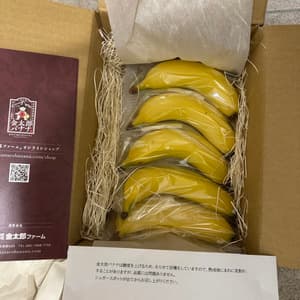 農薬不使用で皮まで食べられる＜金太郎バナナ＞神奈川県産グロスミッシェルの口コミ・レビュー(にったそういちろうさん)