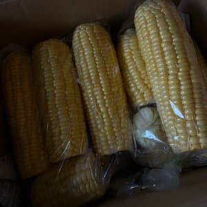 無農薬 朝採り皮むきトウモロコシのレビュー
