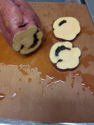 腐ってるの画像 1