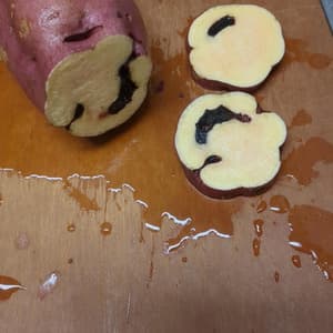 【人気No.1♪新芋3種食べ比べ】横浜産自然栽培さつまいも｜採れたての紅はるか・安納芋・綾紫をお届けの口コミ・レビュー(てんぷらさん)