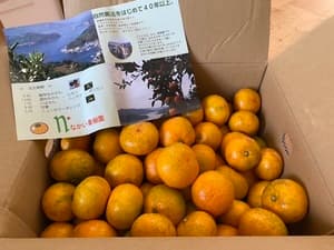 やっぱり美味しいの画像 1