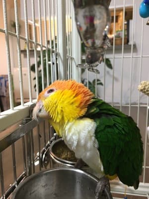 安心してあげられました！の画像 1