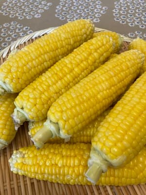 おいしさに感激！の画像 1