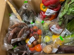 沢山のカラフルなお野菜にびっくり　の画像 1