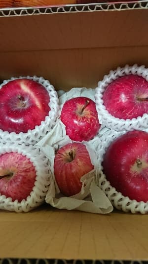 美味しいりんごの画像 1