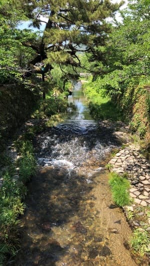 ありがとうございますの画像 2