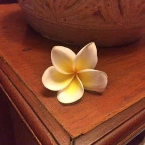 贈り物としての画像 1