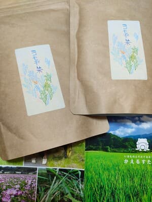 ヨモギ茶の画像 2