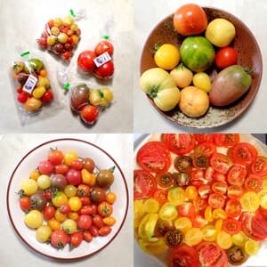 とてもおいしく楽しかった！！🍅✨の画像 1