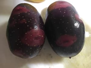 驚きがいっぱい！の画像 6