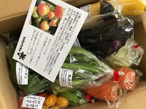 新鮮な野菜をありがとうございました♡の画像 1