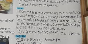お米の自由研究で。一番のお気に入りのお米！の画像 2