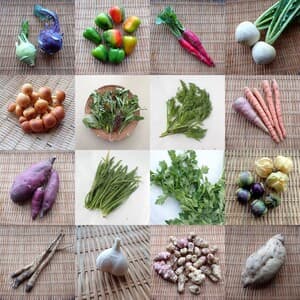 おいしい楽しい野菜をありがとうございました！！の画像 1