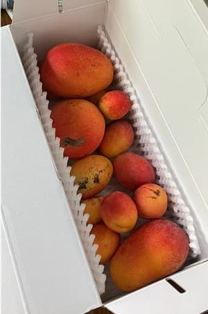 頼んでよかったの画像 1