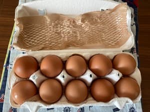 遊んでるの鶏卵やっぱり違いますの画像 2